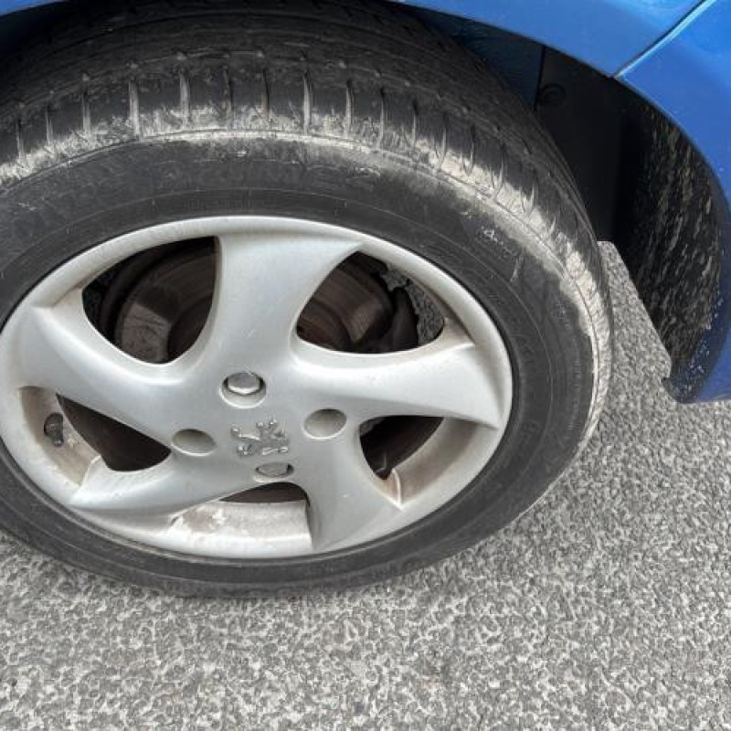 Porte avant droit PEUGEOT 206 Photo n°16