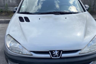 Pare soleil gauche PEUGEOT 206