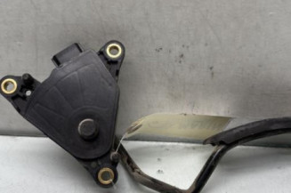 Pedale d'accelerateur RENAULT CLIO 3 Photo n°1