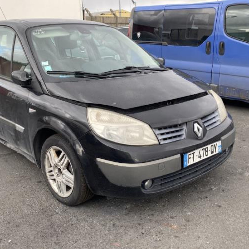 Vitre arriere droit RENAULT SCENIC 2 Photo n°6
