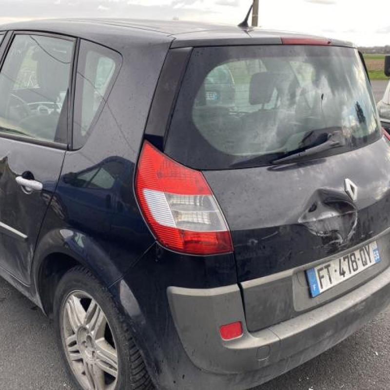 Vitre arriere droit RENAULT SCENIC 2 Photo n°8