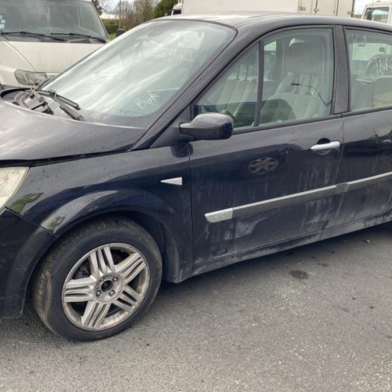 Vitre arriere droit RENAULT SCENIC 2 Photo n°11
