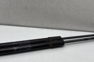 Verin de coffre CITROEN C3 3