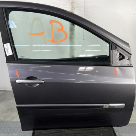 Porte avant droit RENAULT CLIO 3 Photo n°1