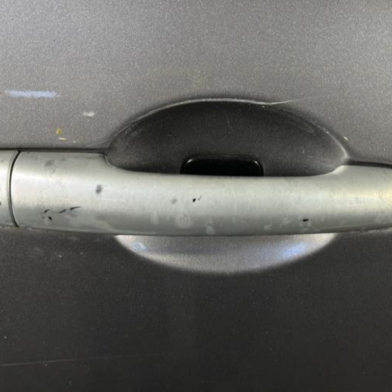 Porte avant droit RENAULT CLIO 3 Photo n°2