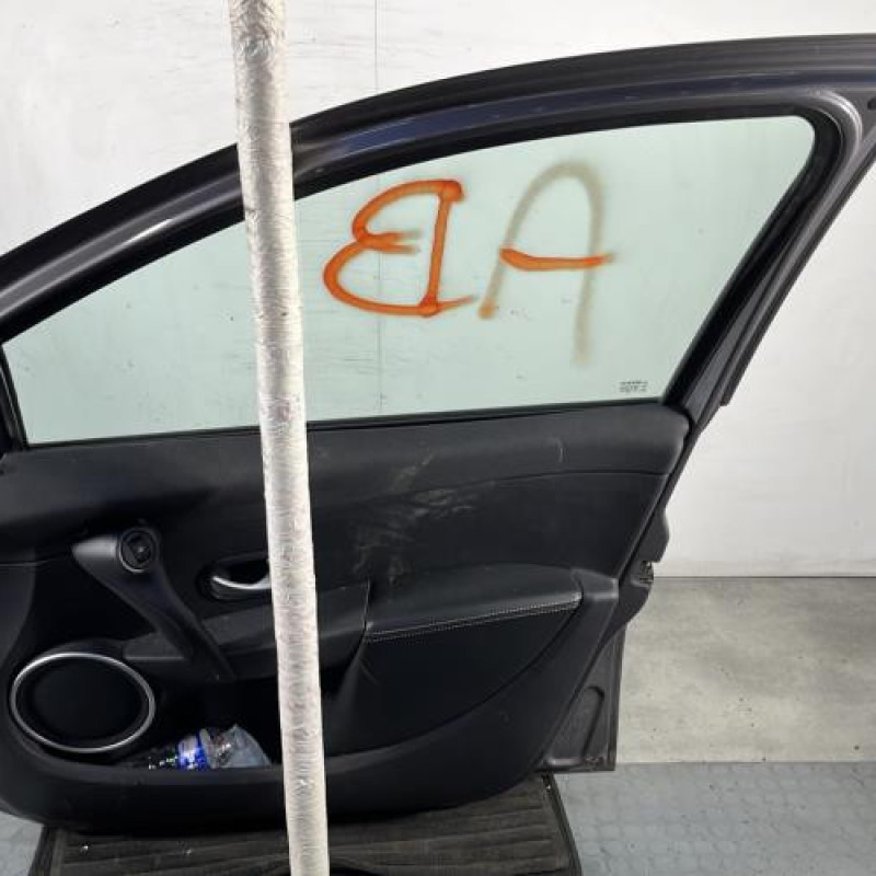 Porte avant droit RENAULT CLIO 3 Photo n°8
