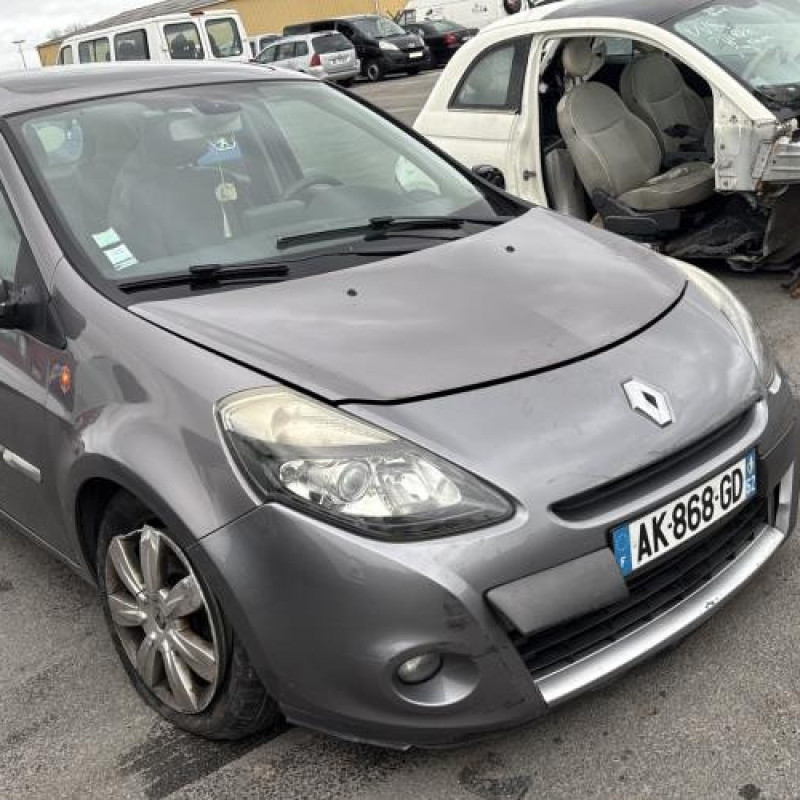 Porte avant droit RENAULT CLIO 3 Photo n°10