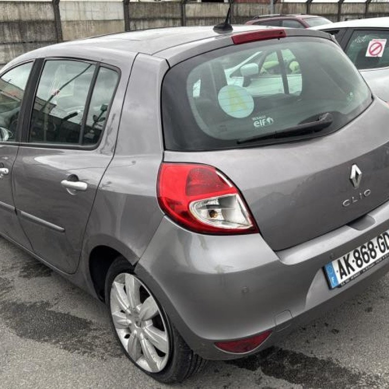 Porte avant droit RENAULT CLIO 3 Photo n°12