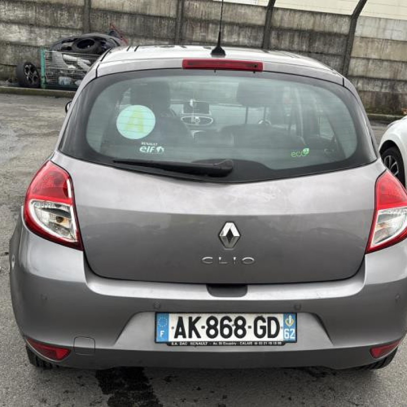 Porte avant droit RENAULT CLIO 3 Photo n°13