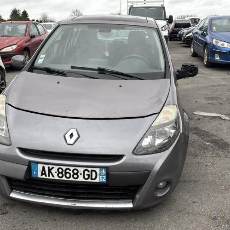 Porte avant droit RENAULT CLIO 3 Photo n°16