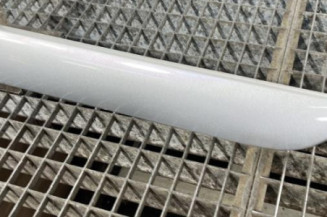 Baguette de porte arriere gauche  CITROEN C3 1