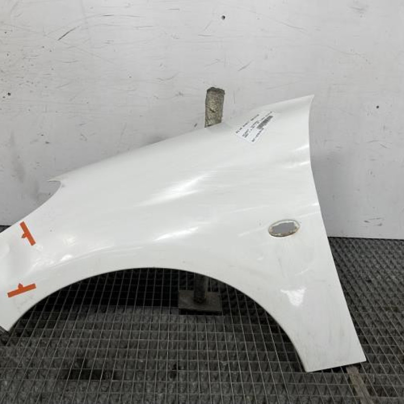 Aile avant gauche PEUGEOT 206+ Photo n°1