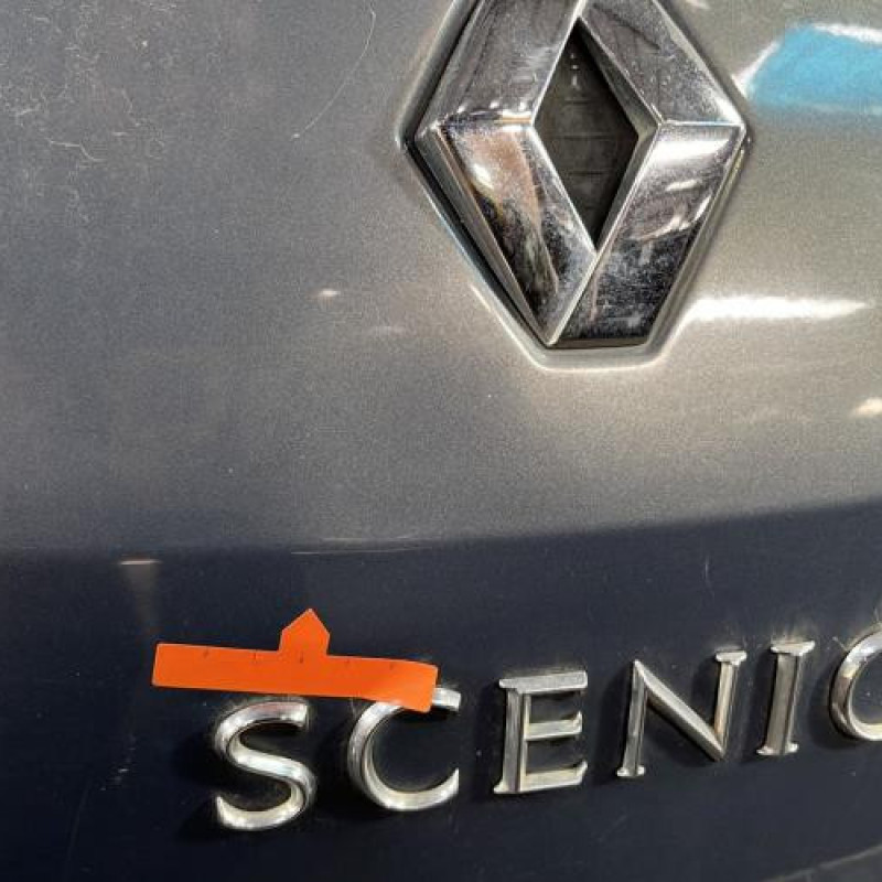 Malle/Hayon arriere RENAULT SCENIC 2 Photo n°2