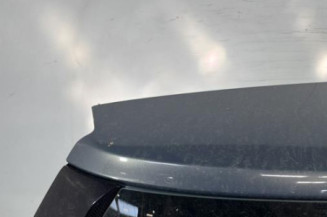 Malle/Hayon arriere RENAULT SCENIC 2