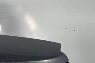 Malle/Hayon arriere RENAULT SCENIC 2