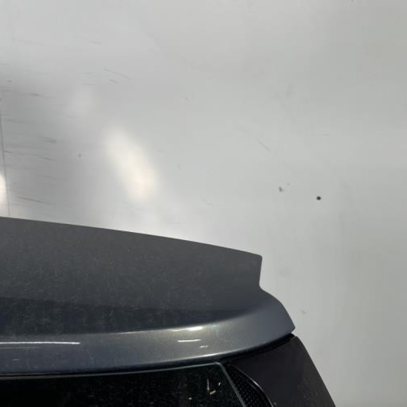 Malle/Hayon arriere RENAULT SCENIC 2 Photo n°4