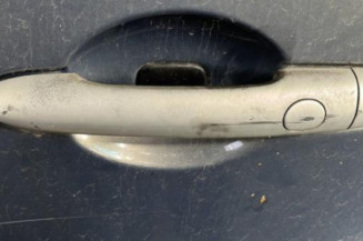 Porte arriere gauche RENAULT SCENIC 2