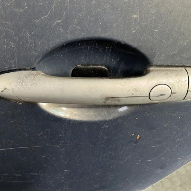 Porte arriere gauche RENAULT SCENIC 2 Photo n°2