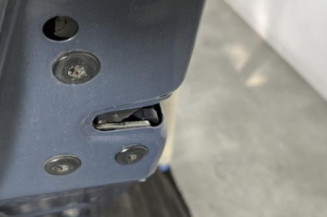 Porte arriere gauche RENAULT SCENIC 2