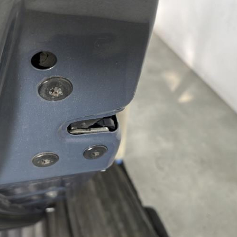 Porte arriere gauche RENAULT SCENIC 2 Photo n°3