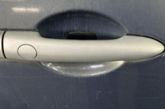 Porte avant droit RENAULT SCENIC 2