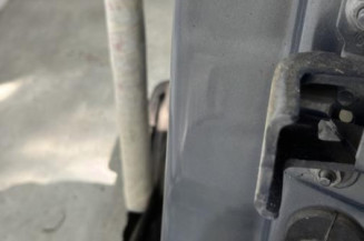 Porte arriere gauche RENAULT SCENIC 2