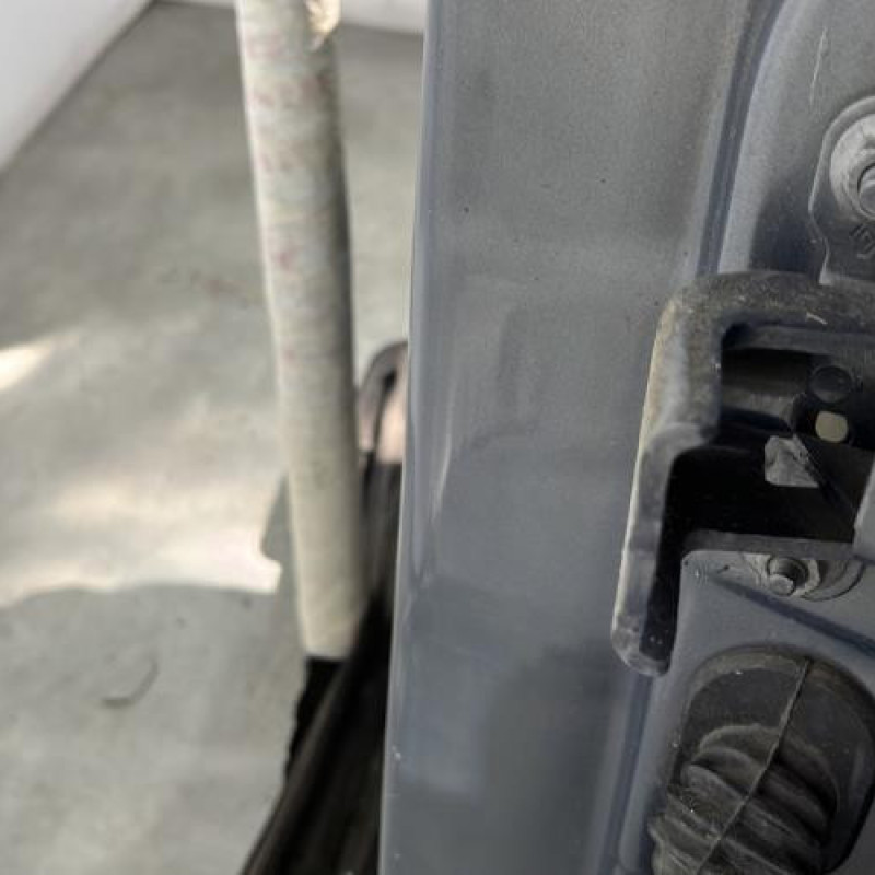 Porte arriere gauche RENAULT SCENIC 2 Photo n°4