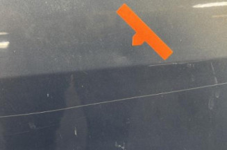 Porte avant droit RENAULT SCENIC 2