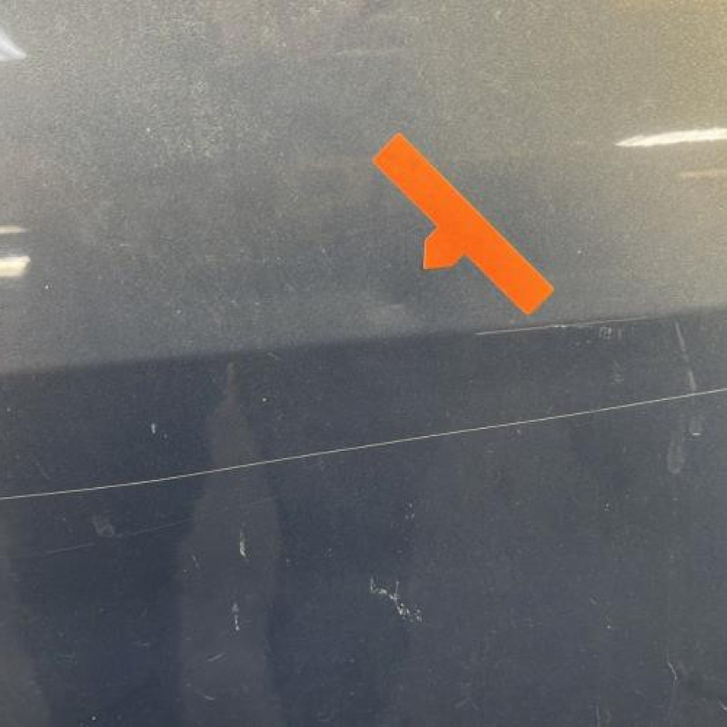 Porte avant droit RENAULT SCENIC 2 Photo n°3