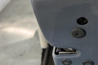 Porte avant droit RENAULT SCENIC 2