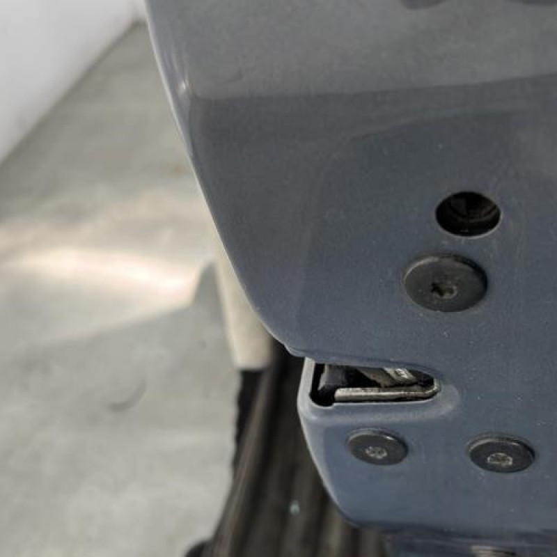 Porte avant droit RENAULT SCENIC 2 Photo n°4