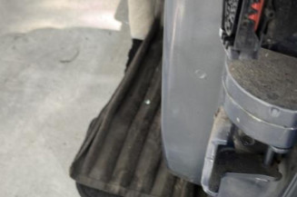 Porte arriere gauche RENAULT SCENIC 2