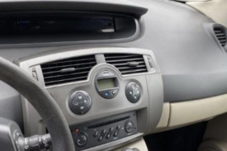 Porte arriere gauche RENAULT SCENIC 2