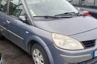 Porte arriere gauche RENAULT SCENIC 2