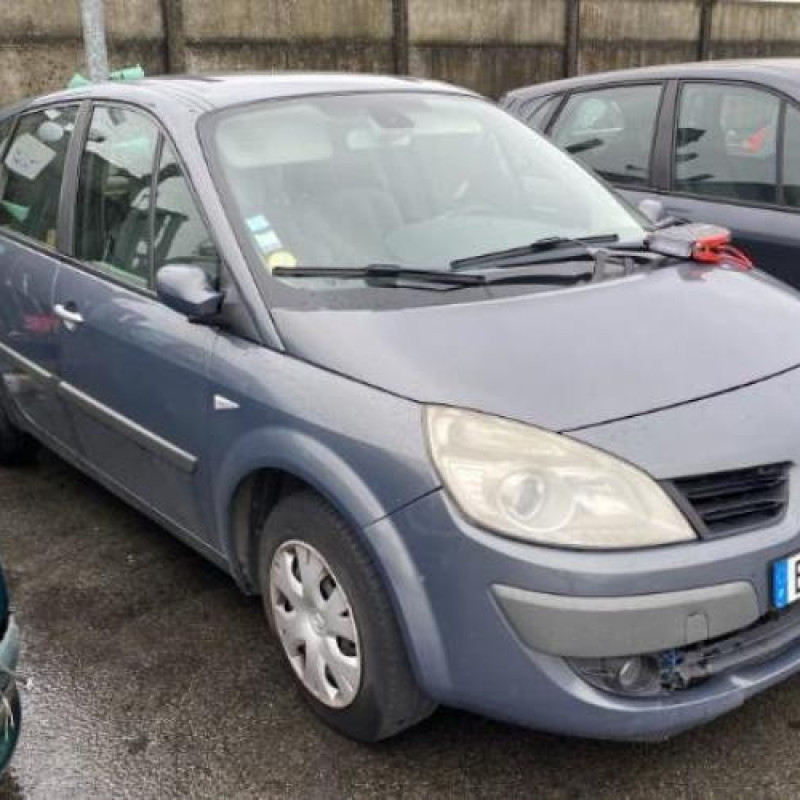 Porte arriere gauche RENAULT SCENIC 2 Photo n°9