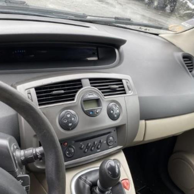Porte avant droit RENAULT SCENIC 2 Photo n°9