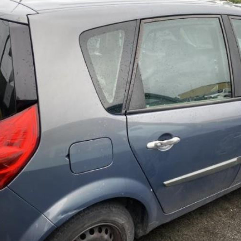 Porte arriere gauche RENAULT SCENIC 2 Photo n°14