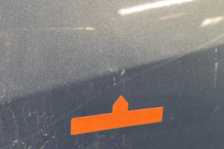 Porte avant gauche RENAULT SCENIC 2