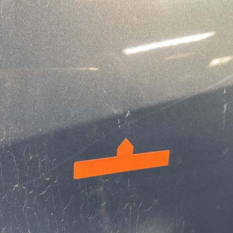 Porte avant gauche RENAULT SCENIC 2 Photo n°3