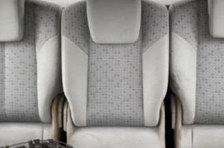 Porte arriere gauche RENAULT SCENIC 2