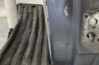 Porte avant gauche RENAULT SCENIC 2
