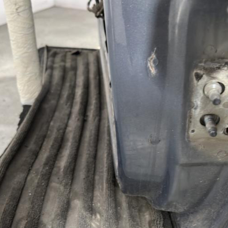 Porte avant gauche RENAULT SCENIC 2 Photo n°5
