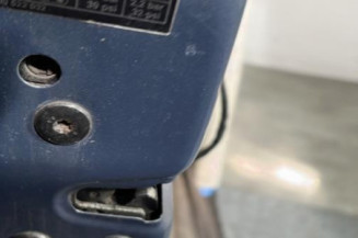 Porte avant gauche RENAULT SCENIC 2