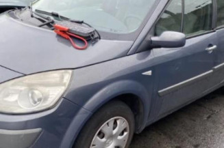 Porte arriere gauche RENAULT SCENIC 2