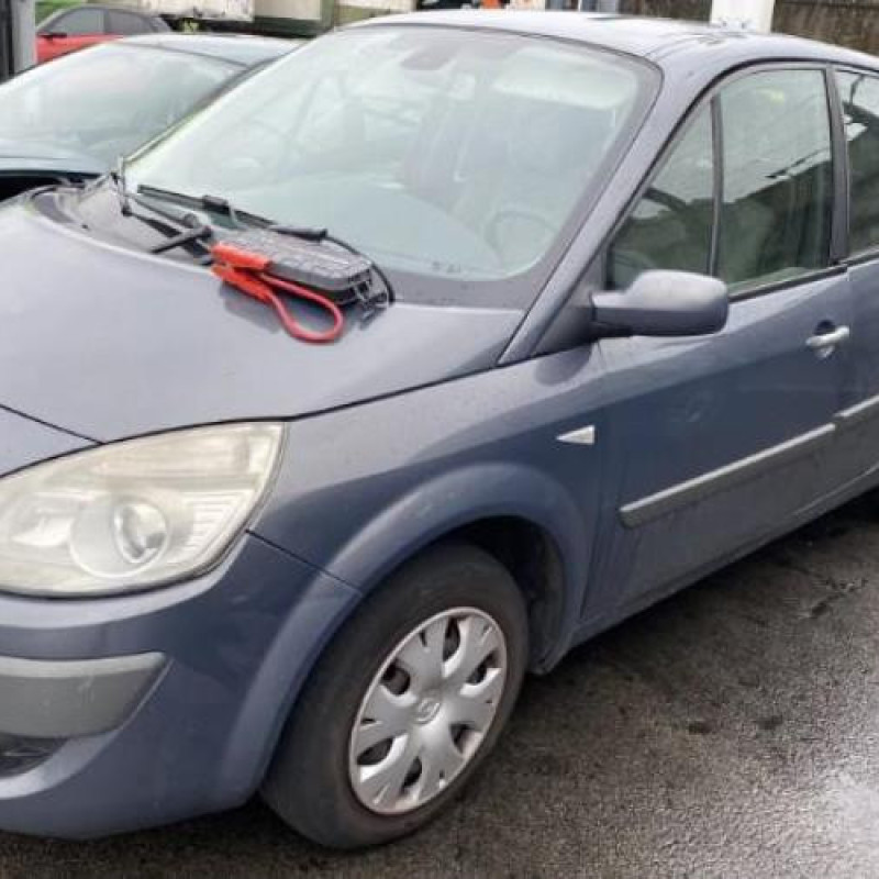 Porte arriere gauche RENAULT SCENIC 2 Photo n°17