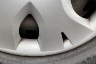 Porte arriere gauche RENAULT SCENIC 2