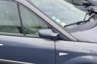 Porte arriere gauche RENAULT SCENIC 2