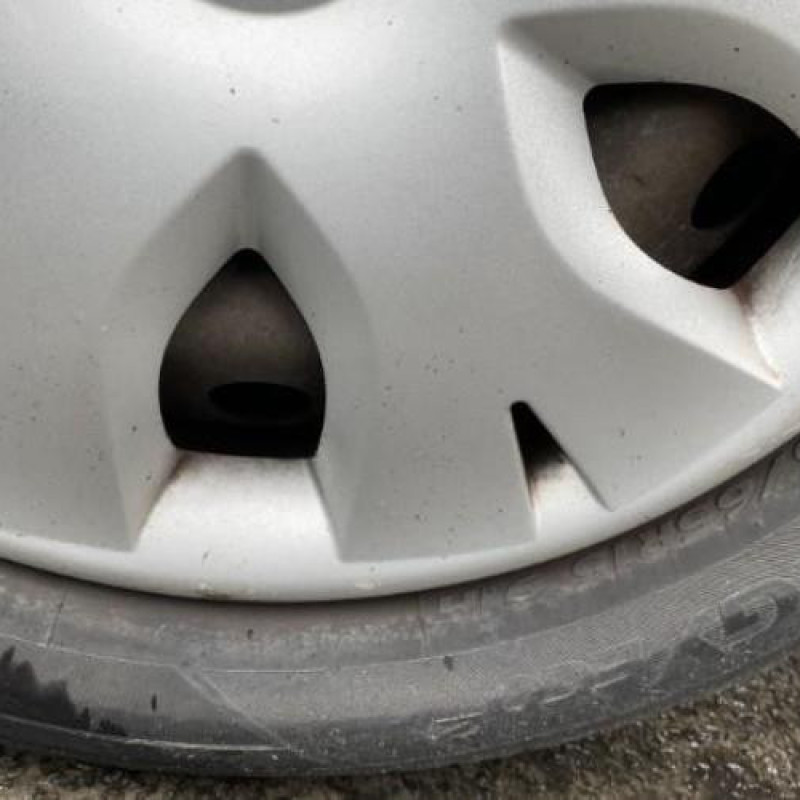 Porte avant droit RENAULT SCENIC 2 Photo n°19