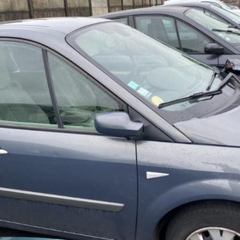 Porte avant droit RENAULT SCENIC 2 Photo n°20
