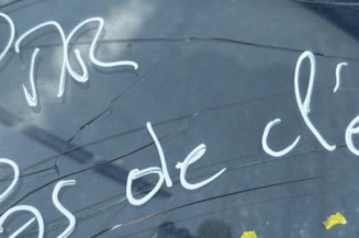 Custode avant gauche (porte) FORD TRANSIT 3